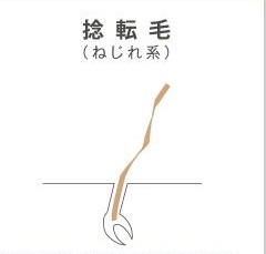 くせ毛をいかすカットで必ず似合う髪型になれる方法 Soy Kufu 高田馬場店 ソイクフ